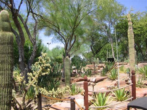 ethel  botanical cactus garden  west atlas obscura community travel forum