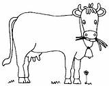 Coloriage Vache Vaca Vacas Mucca Colorat Dessin Vacuta Divierten Aprenden Juegan Vitel Plansa Fisa Planse Kuh Coloriages Imprimer Guay Ausmalbild sketch template