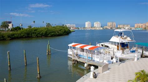 visit clearwater   clearwater tourism expedia travel guide