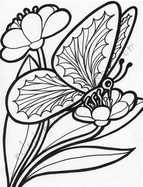 coloring pictures  flowers  butterflies beautiful flowers