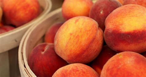 black s peaches south carolina department of agriculture