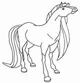 Horse Pinto Coloring Pages Getdrawings sketch template