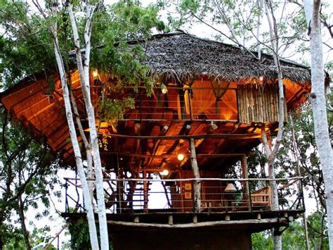 sri lanka eco lodge accommodation responsible travel