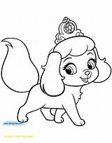 Coloring Pages Puppy Pets Palace Puppies Kitten Pumpkin Princess Print Cute Printable Printables Cartoon Pomeranian Drawing Dogs A4 Disney Size sketch template