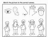 Senses Coloring Five Pages Sense Kids Printable Popular Kindergarten Books sketch template