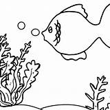 Reefs sketch template