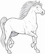 Coloring Horse Pages Horses Adult Drawings Beautiful Adults Drawing Cavallo Cavalli ציעה דפי Disegni Books Pencil Mandala Patterns Teenagers sketch template