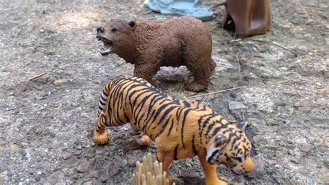 Grizzly Bear Vs Tiger Real Fight
