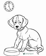 Coloring Dog Pages Dogs Feed Printable Sheet Kids sketch template