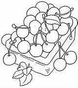Cirese Colorat Cerezas Fructe Cesto Planse Groente Desene P04 Frutas Primiiani Cherries Animaatjes Vizite 1236 Voturi Plansa Imprimirdesenhos Anterior sketch template