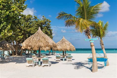 boardwalk small hotel aruba palm eagle beach updated  prices