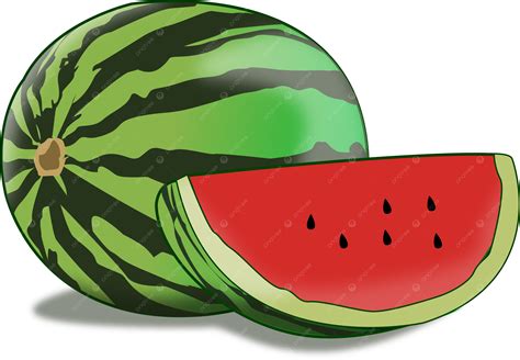 gambar buah semangka kartun clipart  vrogueco