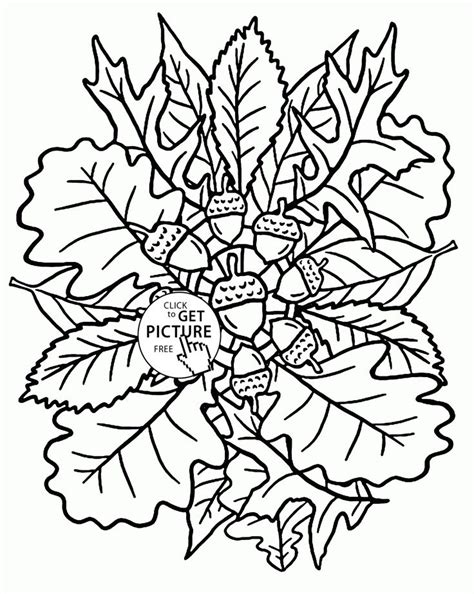 fall leaves  acorns coloring pages  kids season autumn