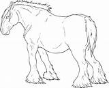 Draft Horse Horses Coloring sketch template
