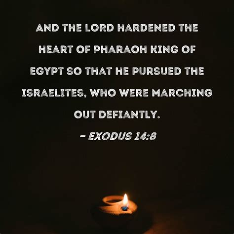 exodus 14 8 and the lord hardened the heart of pharaoh king of egypt so