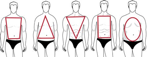 Men S Body Shape Guide Fat Skinny Muscular Dress Your Body Type