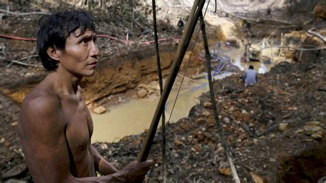 brazils yanomami  oas   keeping  miners covid