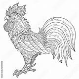 Rooster Drawn Conteúdos sketch template