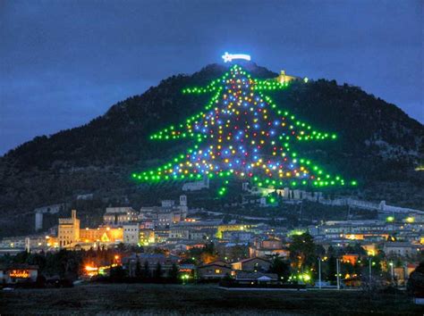 arbroath worlds biggest christmas tree lights  italian town