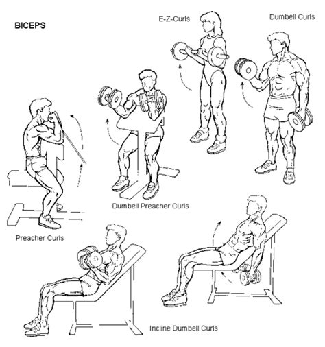 bicep workouts  men top ten indian bodybuilders