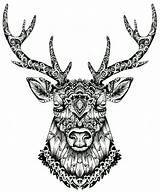 Coloring Pages Animal Deer Zentangle Animals Colouring Adult Stag Choose Board Tattoo sketch template