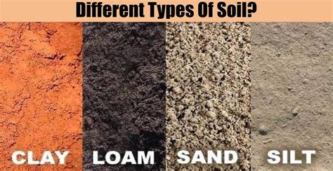 types  soil engineering discoveries