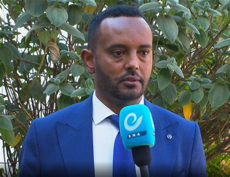 ethiopian diaspora send 1 7 billion usd remittance in four months