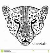 Cheetah Colorare Therapy Antistress Ghepardo Adulti Terapia Modelli Etnici Bianco Vector Disegni Weave Techniques Fumetti sketch template