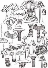 Mushroom Mushrooms Sheet Pilz Pilze Letter Ausmalen Ink Fungi Trippy sketch template