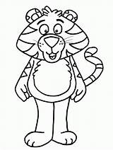 Tiger Coloring Pages Coloringpages1001 sketch template