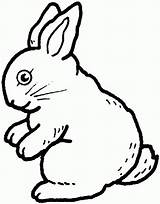 Rabbits Colorear Coniglio Disegno Iepurasi Hase Kleurplaat Konijn Kaninchen Bunnies Coelho Sitzender Froehlicher Ausmalbild Kleurplaten Realistico Conejo Ausmalen Kaniner Seduto sketch template