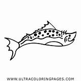 Coloring Scales Fish Pages sketch template