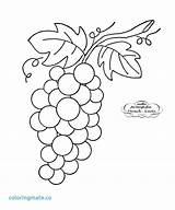 Grapes Coloring Grape Vine Pages Cliparts Drawing Embroidery Clipart Lis Fleur Patterns Getcolorings Printable Fruit Getdrawings Library Clip Popular Books sketch template