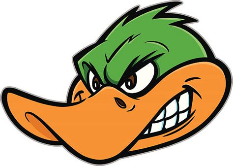 angry duck stock  pictures royalty  images istock
