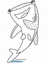 Finding Nemo Dory Destiny Disneyclips Dori sketch template