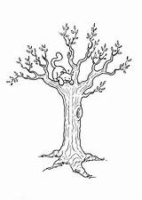 Baum Malvorlage Ausmalen Wurzeln Katze Unterricht Schule sketch template