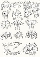 Anatomy Coloring Pages Torso Juggertha Male Kids Adults Printable sketch template