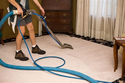 disinfect carpet  mice review home