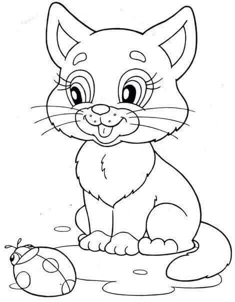 printable kitten coloring pages kitty coloring sheets