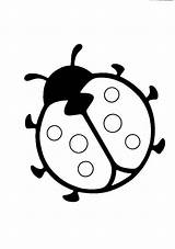 Ladybug Buggy sketch template