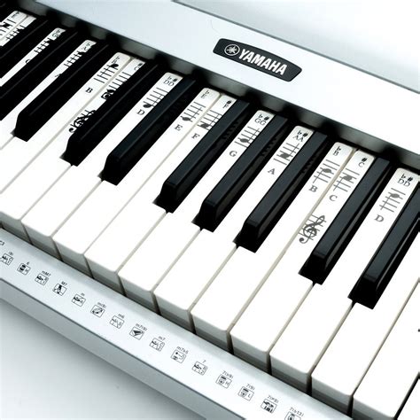 piano stickers      key keyboards transparent  removable   piano
