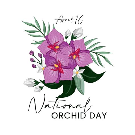 national orchid day vector graphic illustration  copy space