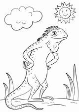 Coloring Cartoon Iguana Lizard Pages Printable Chameleon Categories A4 Kids Anole Coloringonly Drawing sketch template