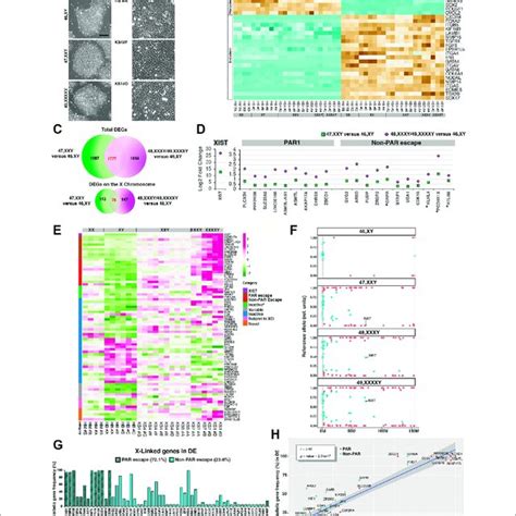 Allele Specific Expression Ase Profiles Of Cases And Controls Ipscs