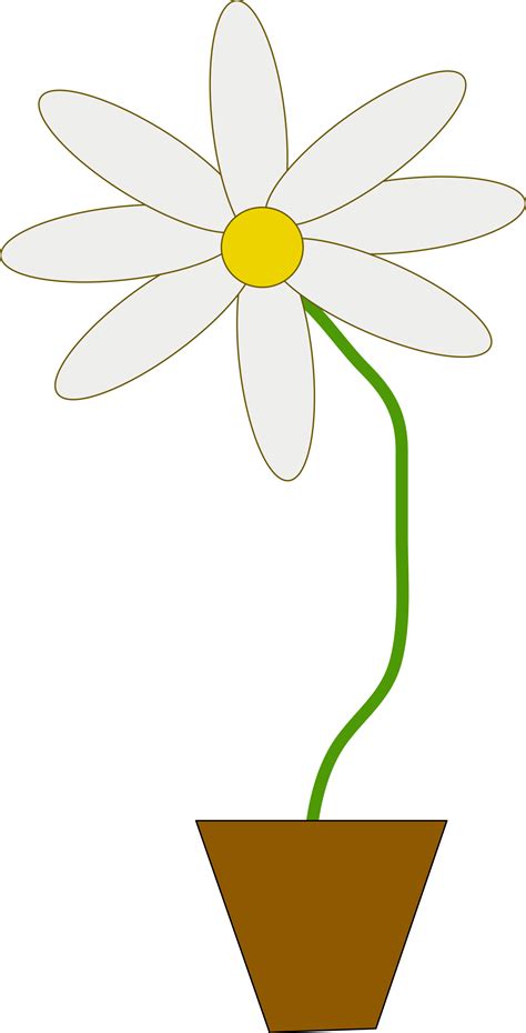 clipart flower   pot