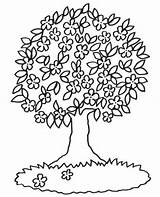 Baum Ausmalen Ausmalbilder Malvorlagen Malvorlage Kostenlos Vorlage Ausdrucken Blühender Bäume Frühling Baume Bluehender Kindern Baeume Weihnachten sketch template