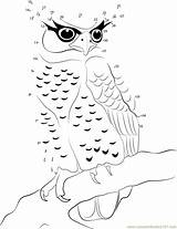 Owl Eagle Dot Dots Connect Bellied Spot Worksheets Printable Kids Worksheet Birds sketch template