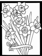 Colorat Primavara Flori Narcise Planse Desene Desenat Dover Interferente Imagini Buchete Daffodil Wildflowers Poze sketch template