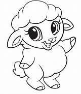 Lamb Coloring Sheep Chop Coloringonly sketch template
