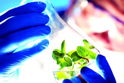 biotechnology  sector  opportunities